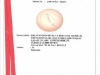 marka_tescil_clean_ball